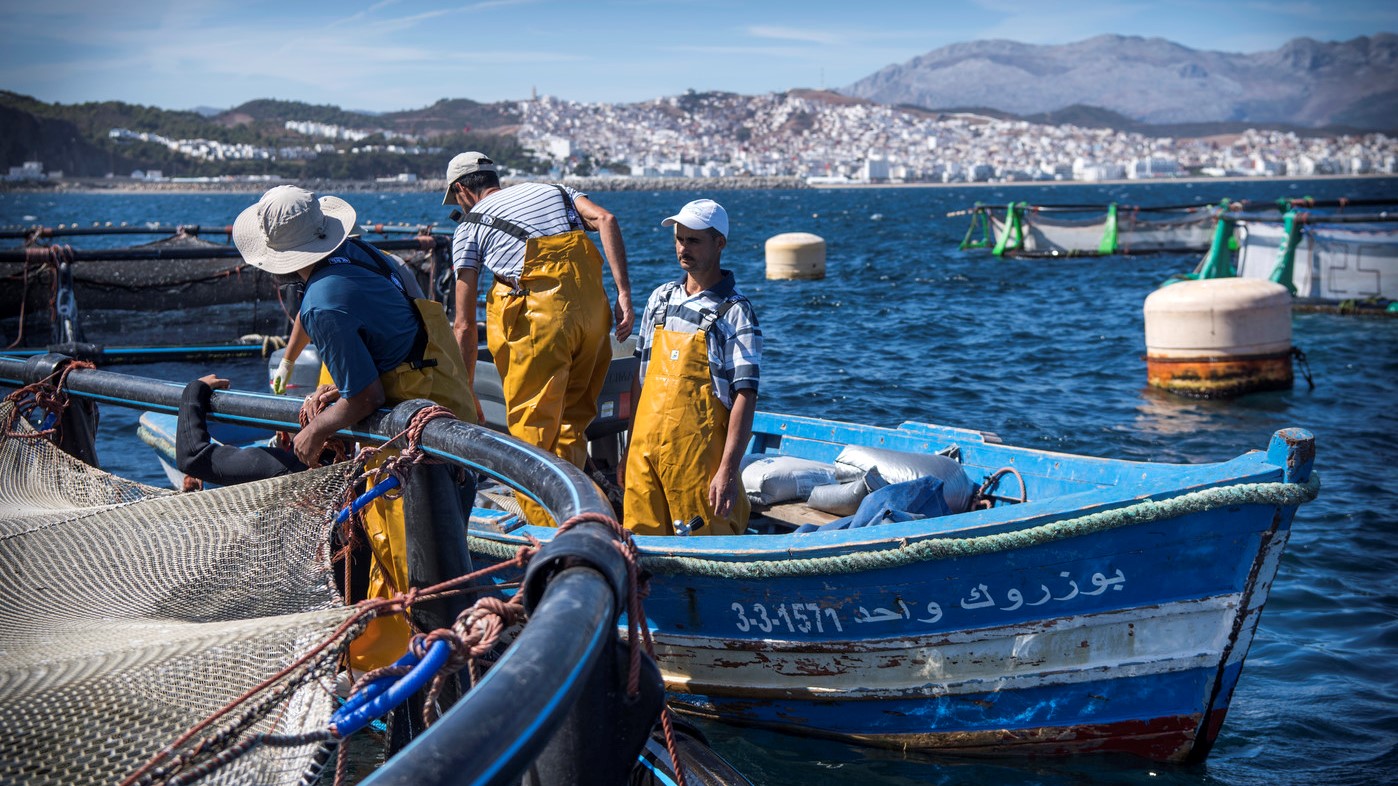 Pêche: hausse des débarquements de 14% à fin mai